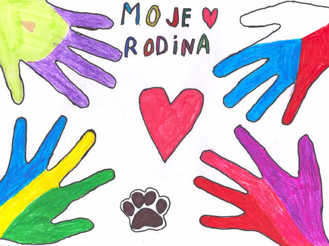 Matyáš Kubica / Barevný svět rukou