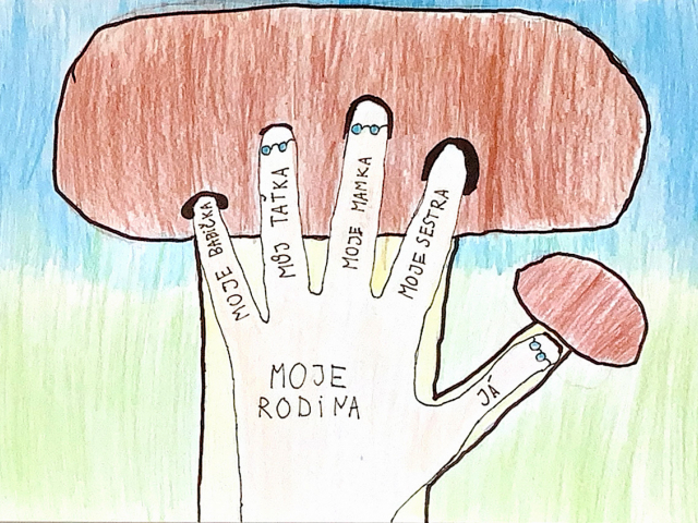 Vincent Vařeka / Rodinná houba